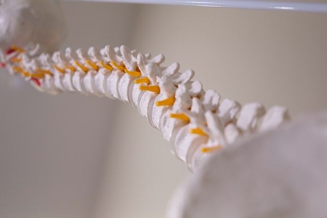 Physiotherapy For Back Pain Brampton